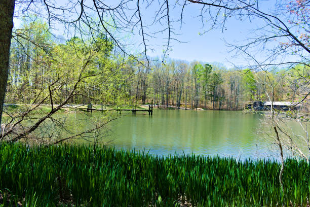 istock Scenic View  by the Lake 1331848758