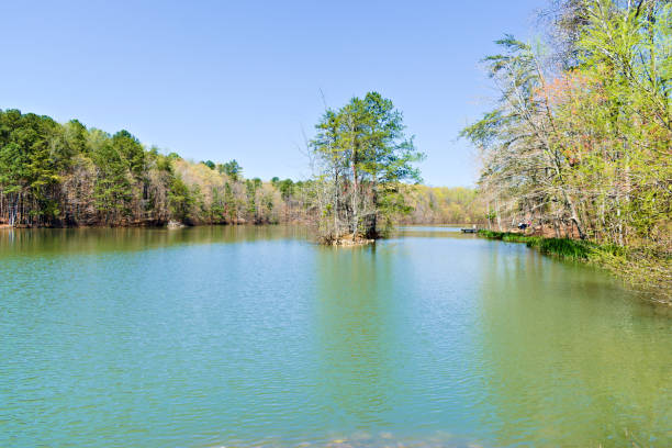 istock Scenic View  by the Lake 1331848766