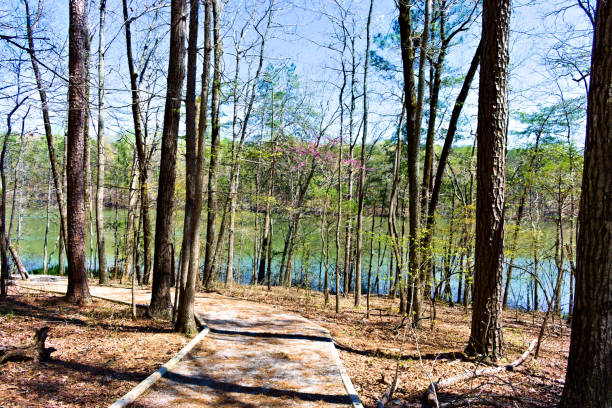 Forest Trail (Kejimkujik National Park , Nova Scotia, Canada)
