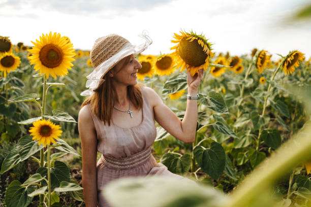 300+ Sunflower Profile Stock Photos, Pictures & Royalty-Free Images ...