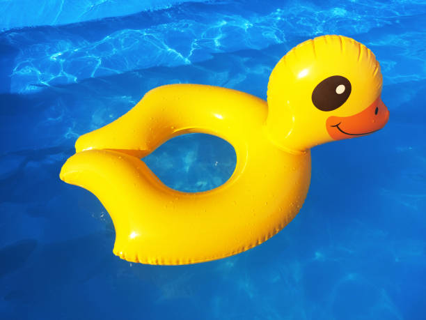 istock The rubber inflatable duck floats in the swimming pool. 1331850366