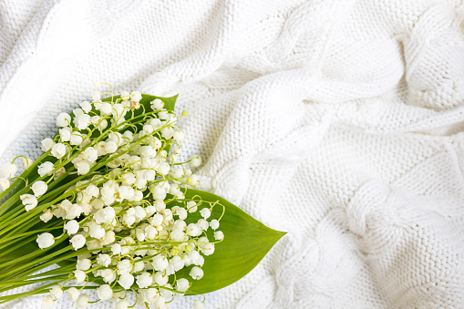 a bouquet of fresh lilies of the valley lies on a white knitted sweater on a light wooden background, top view. Copy space.