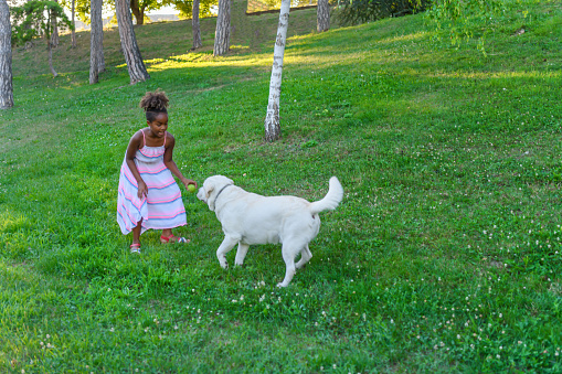 Young African-American Little Girl With Curly Hair is Playing With her Cute Dog in the Park During a Summer Day.