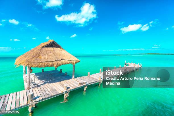 Contoy Island Stock Photo - Download Image Now - Cancun, Beach, Blue