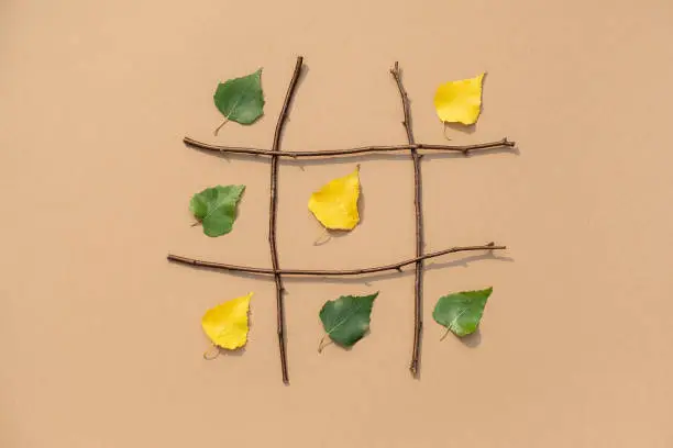 Creative autumn concept. Tic-tac-toe, noughts and crosses between summer and autumn. Green and yellow leaves in grid made from branches. Fall is the winner. Top view Flat lay.