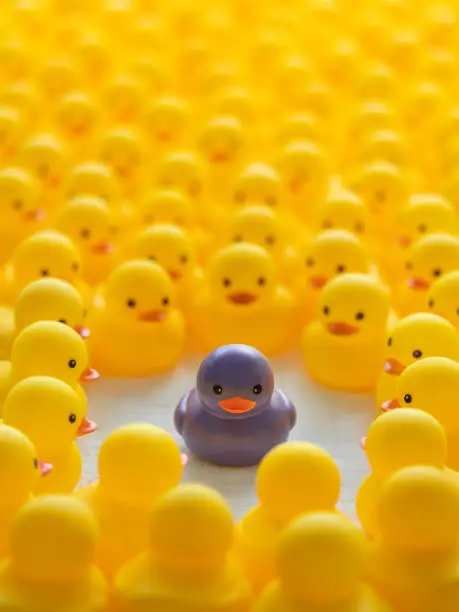 Photo of Many generic yellow rubber ducks in a large crowd surrounding and staring at a similar rubber duck, that is purple instead of yellow