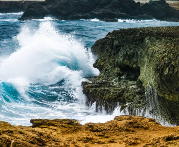 istock Cliffs of the coast or Aruba 1331872209