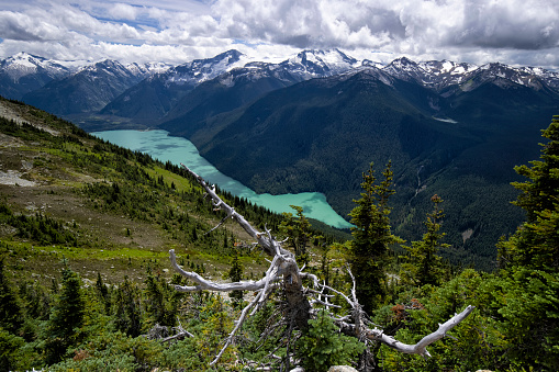 Top view of Cheakamus Lake from High Note Trail, Whistler, BC, Canada on a sunny summer afternoon.