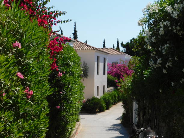 istock Spetses street gardens 1331883255