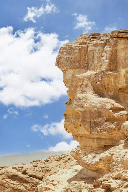 makhtesh ramon - ramon crater nel deserto israeliano del negev dal belvedere di mitzpe ramon, con il monte ramon sullo sfondo. vista di sabbia di colore, deserto di negev in pietra giù dalla scogliera - crateri foto e immagini stock