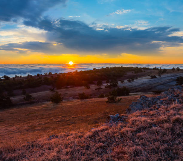 istock mountain plateau with pine forest at the sunset 1331887489