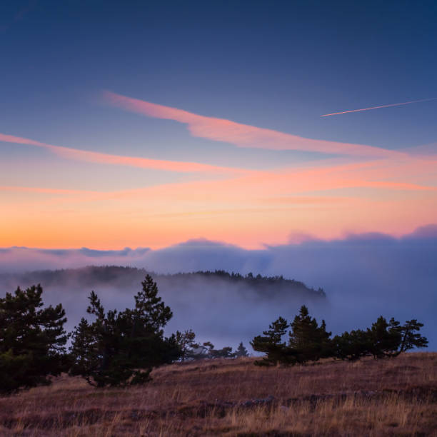 istock mountain plateau with pine forest at the twilight 1331887509