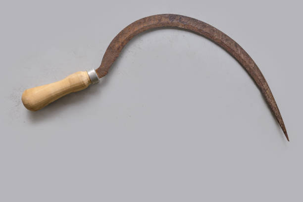 istock Top view of old rusty serrated sickle on light surface 1331888394
