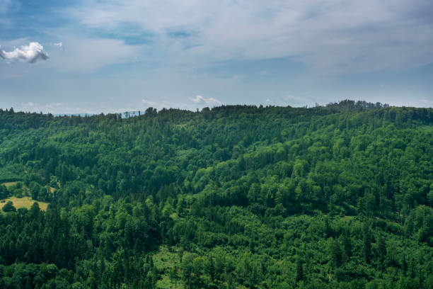 istock Owl Mountains, Sudetes, Poland 1331889432