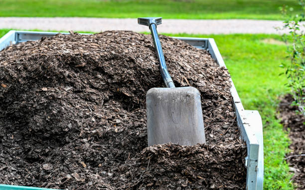 istock Trailer full of mulch and a shovel 1331890559