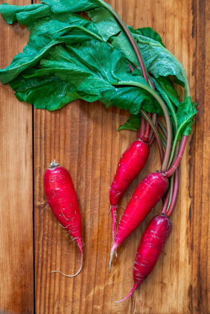 Bunch of bright red organic radishes