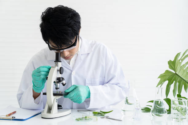 Man Scientists tests of plants in laboratory. Asian male scientists doing analysis for germs and bacteria with microscope in the laboratory. Scientific experiment. researcher and discovery concept hombre científicos pruebas de plantas en laboratorio. científicos masculinos asiáticos que hacen análisis para los gérmenes y las bacterias con el microscopio en el laboratorio. experimento científico. concepto de investigador y descubrimiento