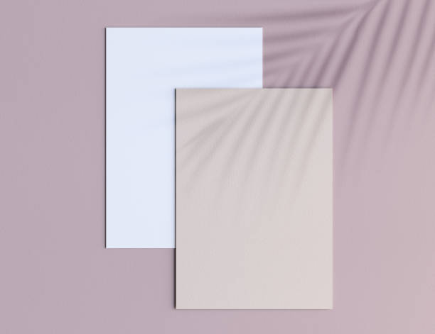 istock Mockup A4 paper with tropical leaf soft shadow 1331899951