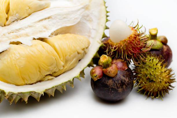 Close-Up Of Mangosteens, Rambutan And Durian Over White Background
