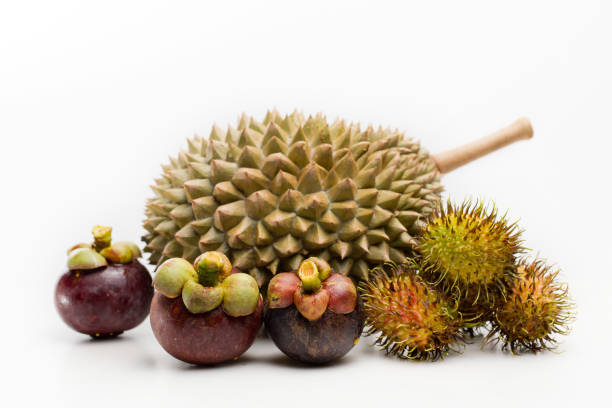 Close-Up Of Mangosteens, Rambutan And Durian Over White Background