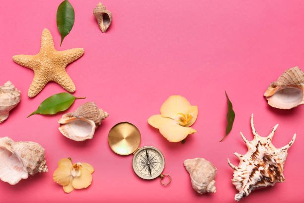 istock Seashells and flowers on a bright background 1331904486