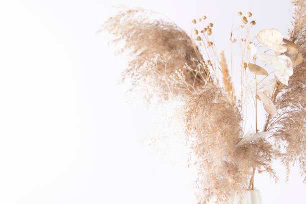 istock Dry herbal bouquet on a white background. Soft selective focus 1331905920