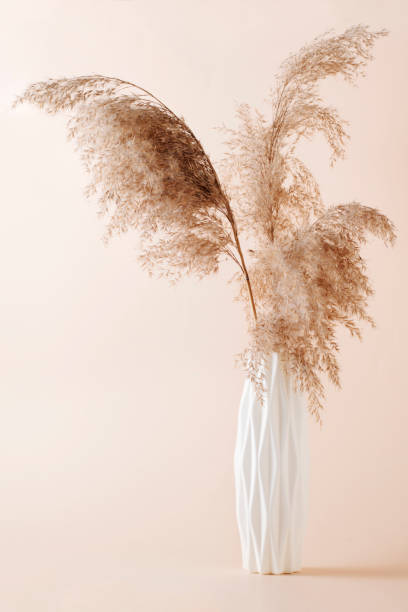 istock A bouquet of pampas herbs in a white vase on a light background. Boho style. 1331905932
