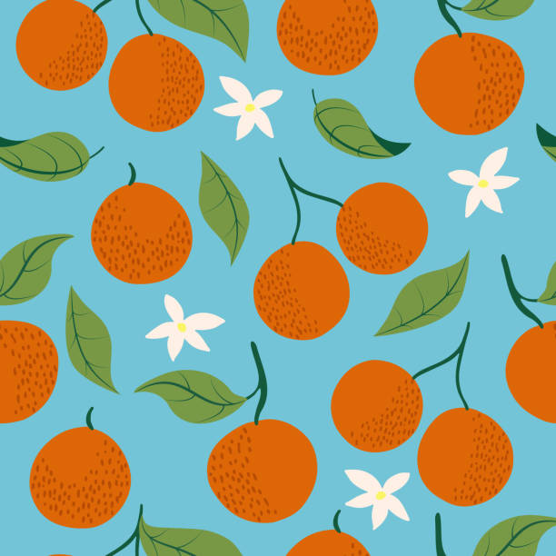 ilustrações, clipart, desenhos animados e ícones de padrão sem emenda - citrus fruit orange mandarin orange tangerine