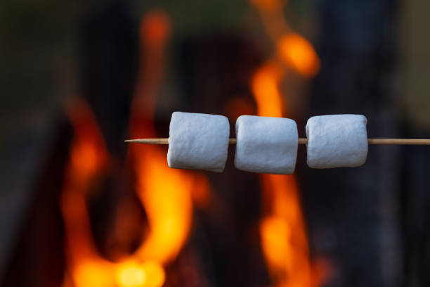 istock marshmallows on wooden stick 1331911954