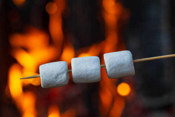 istock marshmallows on wooden stick 1331911957