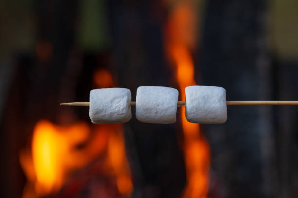 istock marshmallows on wooden stick 1331911961
