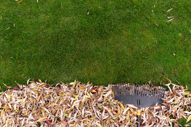 istock Pile of fall leaves with rake on lawn 1331913570