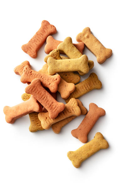 animali domestici: biscotti per cani a forma di osso isolati su sfondo bianco - dog animal bone dog bone dog food foto e immagini stock