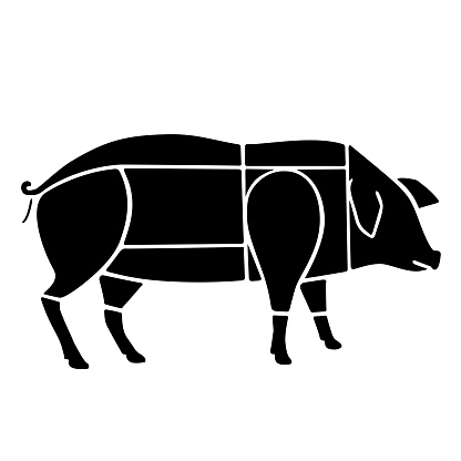 Pork cut diagram isolated on white background