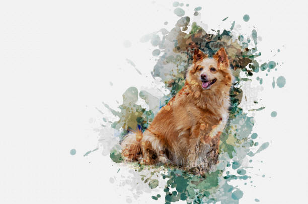 Digital watercolor painting. Portrait of a redheaded long-haired Digital watercolor painting. Portrait of a redheaded long-haired sitting dog. Adult female of mixed breed with open mouth and tongue sticking out dog splashing stock illustrations