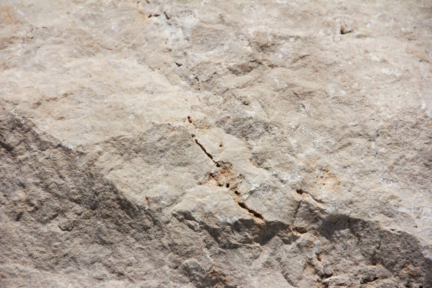 istock the texture of a gray stone with cracks 1331922487
