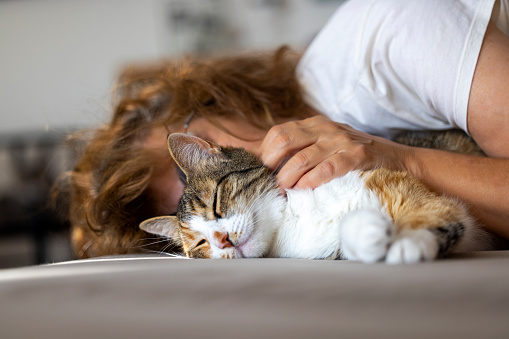 Blind cat very happy with owner