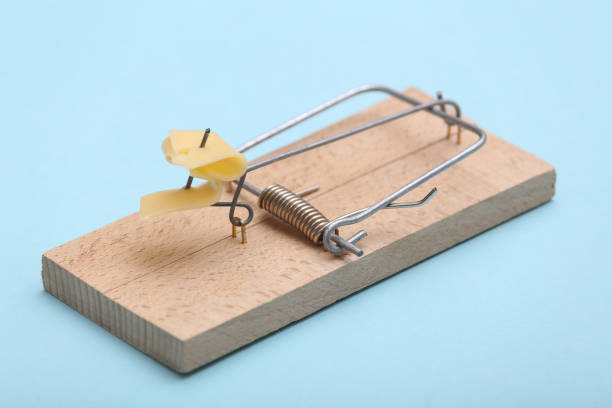 istock Mousetrap with cheese on a blue background. 1331924424