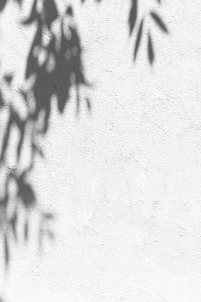 istock Concrete wall with shadows of plant. 1331925377