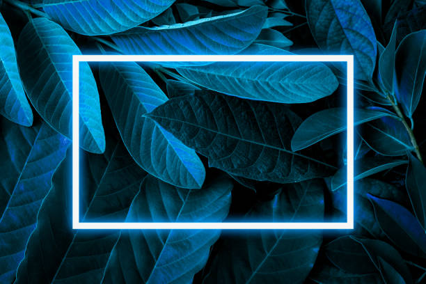 istock Illustration of a large dark green leaf with soft neon light, a rectangular green water led frame light For natural backgrounds 1331925671