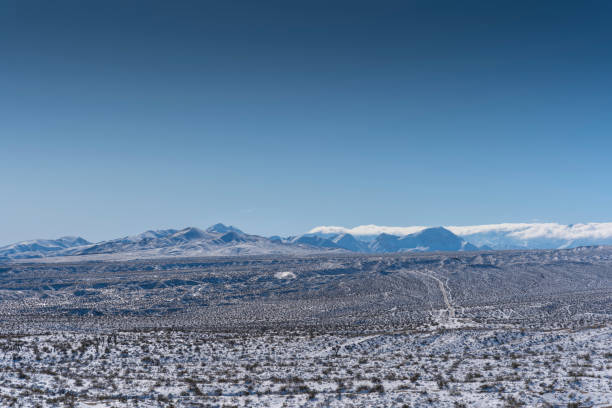 istock Snow in the Joshua Tree Desert, California 1331927883
