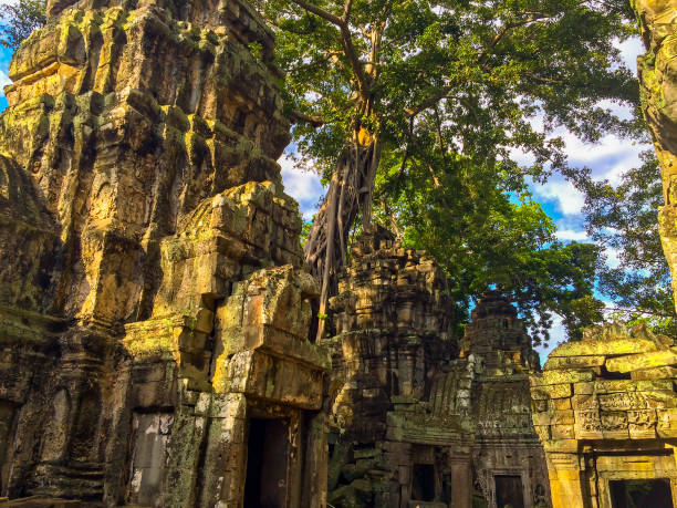 istock Ta Prohm Temple, Angkor Wat 1331934966