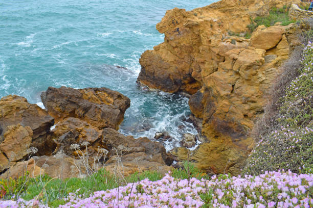 istock Beaches and coves of Begur, Gerona  Spain 1331936280