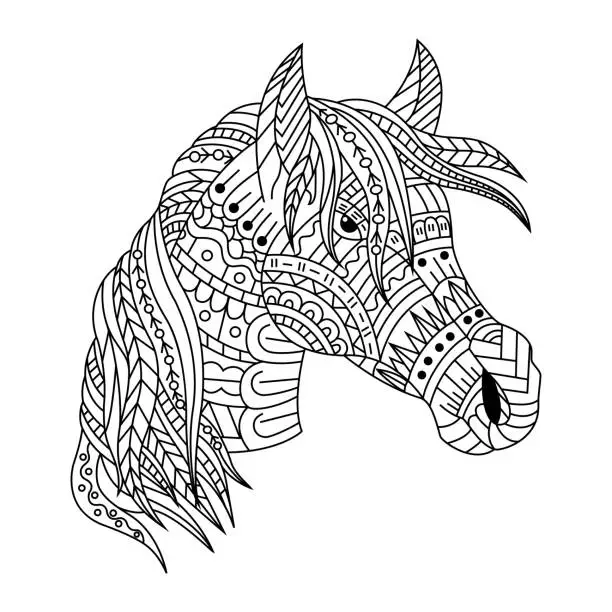 Vector illustration of Hand drawn of horse head