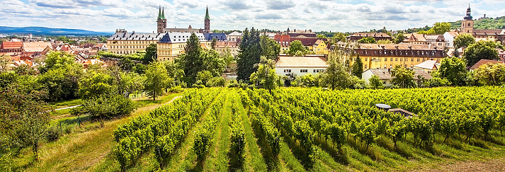 View of the city of Bamberg in Bavaria from Michaelsberg with grapevines in the foreground