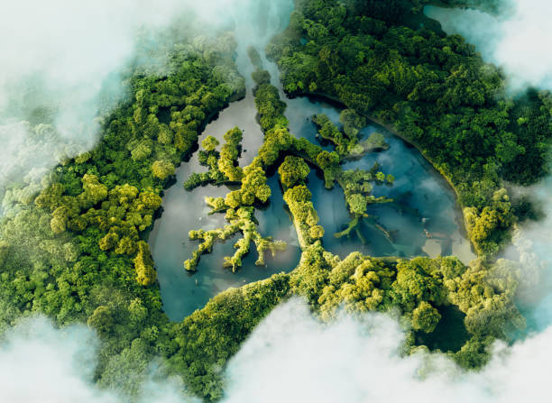 a conceptual image showing a lung-shaped lake in a lush and pristine jungle. 3d rendering. - schoon stockfoto's en -beelden