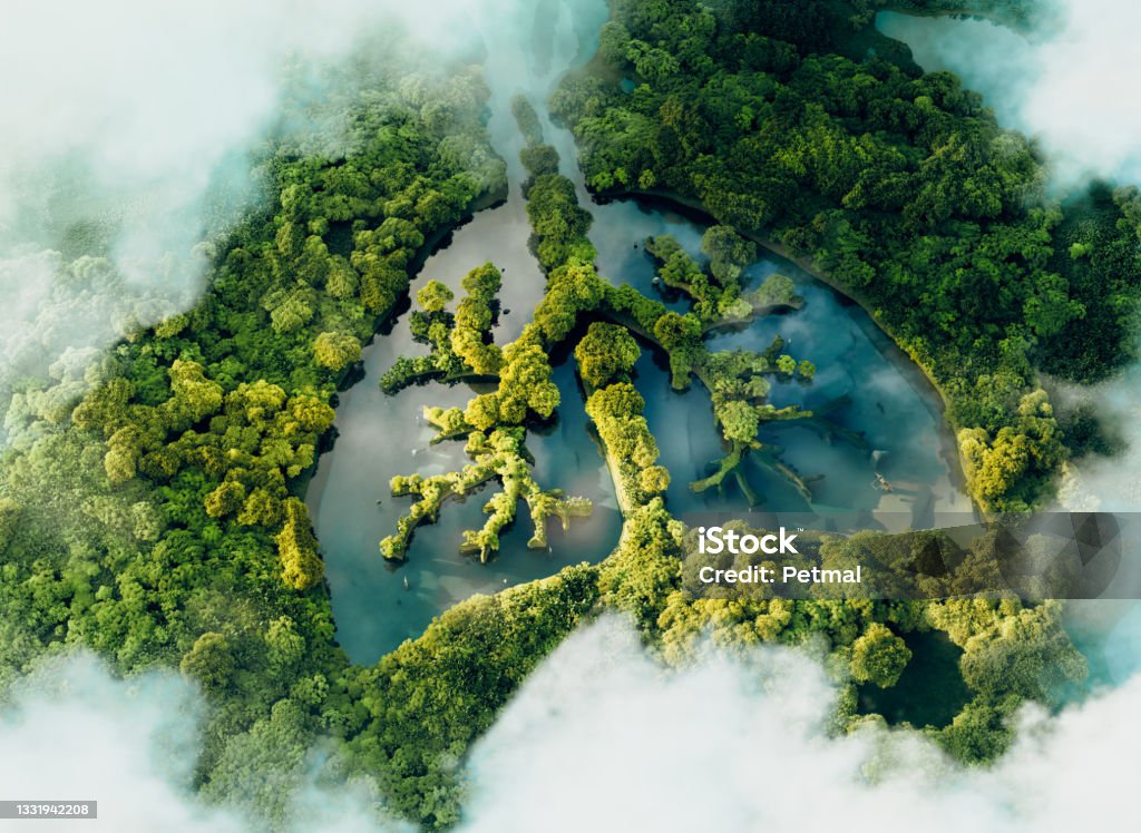 A conceptual image showing a lung-shaped lake in a lush and pristine jungle. 3d rendering. Lung Stock Photo