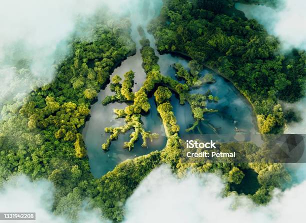 A Conceptual Image Showing A Lungshaped Lake In A Lush And Pristine Jungle 3d Rendering Stock Photo - Download Image Now