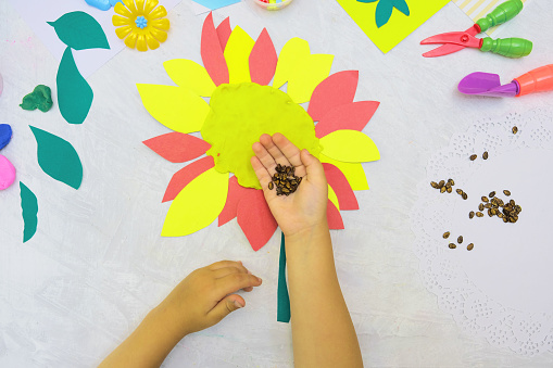 DIY home made Sunflower from paper, plasticine with natural watermelon seeds. reuse that what you have.  Kindergarten and school development. Childrens art project, handmade