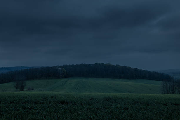 istock Young colza field on hills in night 1331945096